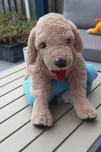IKEA GOSIG Golden Retriever Knuffel 70cm, Ophalen of Verzenden, Zo goed als nieuw, Hond