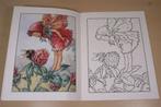 Bloemenkinderen Kleurboek — Cicely Mary Barker, Ophalen of Verzenden, Zo goed als nieuw, Schilder- en Tekenkunst