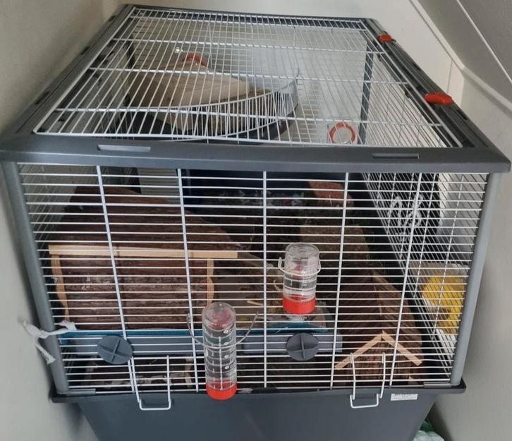 Ferplast Criceti 100 knaagdierenkooi, Dieren en Toebehoren, Knaagdieren en Konijnen | Hokken en Kooien, Gebruikt, Kooi, Minder dan 60 cm