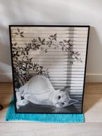 Lijst met liggende kat 40 x 60 cm, Ophalen, Kunststof, Gebruikt, 50 tot 75 cm