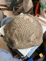 Engelse helmschaal  met camouflage net, Ophalen of Verzenden, Landmacht, Engeland, Helm of Baret