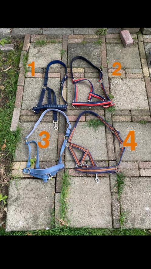 Partij halsters maat cob/pony, Dieren en Toebehoren, Paarden en Pony's | Overige Paardenspullen, Zo goed als nieuw, Overige soorten