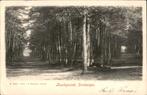Driebergen Boschgezicht  A 1483 J. Schalekamp st 1906