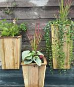 plantenbak met winterharde planten, Volle zon, Vaste plant, Herfst, Ophalen