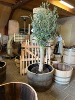 Bloembak hout waterbak half wijnvat/whiskyvat palmboom, Tuin en Terras, Tuin, Gerard Krale, Rond, Nieuw