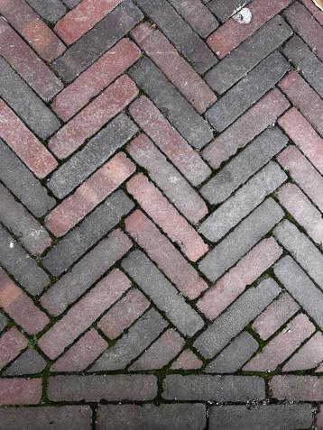 8m2 waalformaat klinkers Wienerberger Auxo UWF60 20x5x6cm beschikbaar voor biedingen