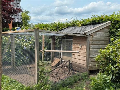 Kippenhok met dubbele ren , elektronisch kippenluik, Dieren en Toebehoren, Pluimvee | Toebehoren, Zo goed als nieuw, Kippenhok of Kippenren