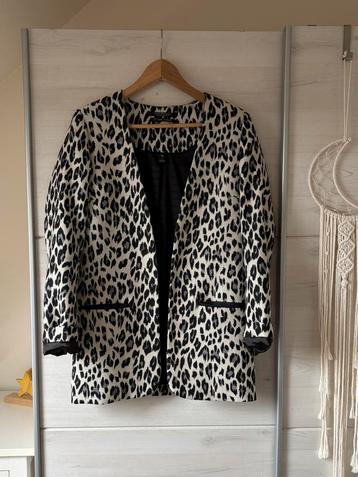 Scotch & Soda Maison Scotch animal print blazer maat 1/S beschikbaar voor biedingen