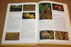 Kruiden encyclopedie - Nico Vermeulen - Rebo Productions, Boeken, Ophalen of Verzenden, Zo goed als nieuw, Moestuin