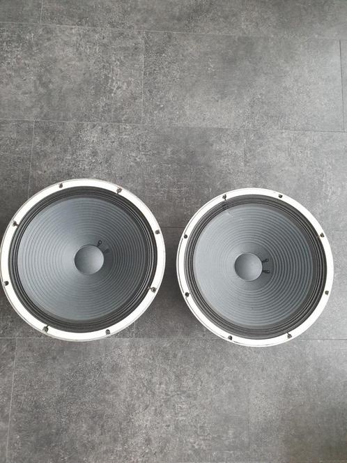 Yamaha 2x15 inch speakers JA3812, Muziek en Instrumenten, Versterkers | Bas en Gitaar, Gebruikt, 100 watt of meer, Ophalen