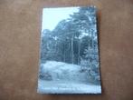 LOENEN  >  BOSGEZICHT BIJ DE WATERVAL, Verzenden, 1940 tot 1960, Gelopen, Gelderland