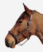 NIEUW Leren halster paard 2 kleuren bruin, Verzenden, Nieuw, Overige soorten