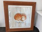 Schilderij schelp, Huis en Inrichting, Minder dan 50 cm, Ophalen of Verzenden, Zo goed als nieuw, Foto of Poster