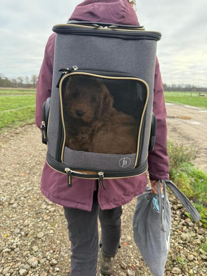 Hondenrugtas, Dieren en Toebehoren, Honden-accessoires, Zo goed als nieuw, Ophalen of Verzenden