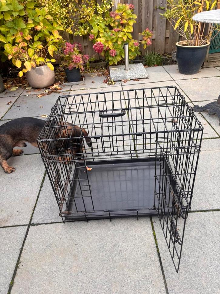 Bench kleine hond ( teckelgrootte), Dieren en Toebehoren, Hondenhokken, Gebruikt, Hondenhok, 65 tot 100 cm, 75 tot 110 cm, Ophalen of Verzenden