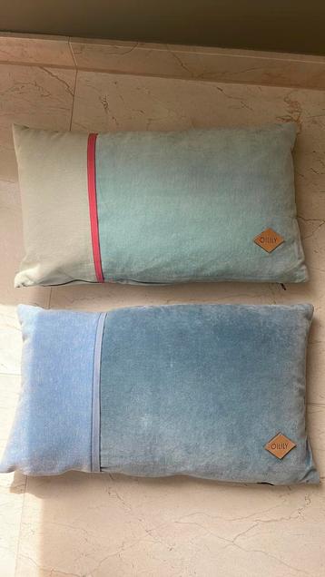 Twee hele mooie oilily kussens  beschikbaar voor biedingen