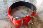Hondenhalsband 16/20 cm halsmaat, Ophalen of Verzenden, Nieuw