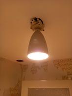 Warmte lamp, Dieren en Toebehoren, Ophalen of Verzenden, Overige typen