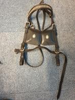 Hoofdstel voor mennen Full, Dieren en Toebehoren, Ophalen, Gebruikt, Overige soorten