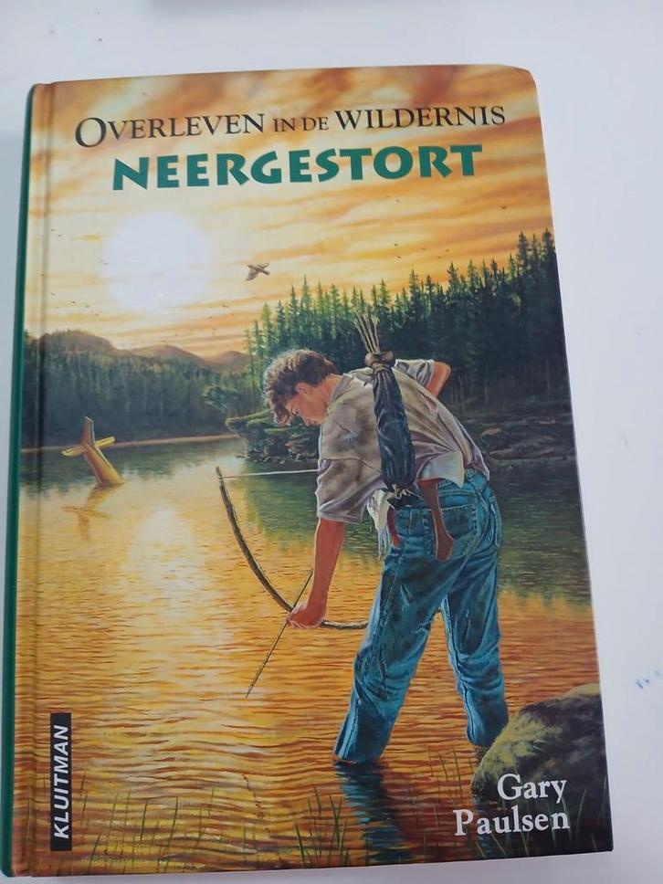 Overleven in de Wildernis - Neergestort, Boeken, Avontuur en Actie, Gelezen, Ophalen