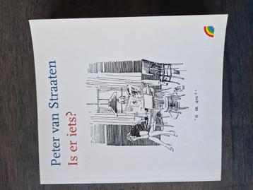 Peter van Straaten - Is er iets? beschikbaar voor biedingen