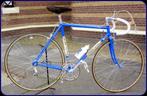 Gios Torino 1974 van oud prof renner Arturo Pecchielan, 10 tot 15 versnellingen, Overige merken, Staal, Heren