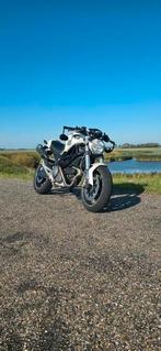 Ducati monster 696, Tickets en Kaartjes, Eén persoon