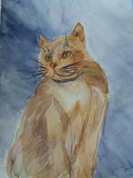 Diverse aquarel schilderijen, Antiek en Kunst, Ophalen of Verzenden