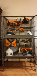 Grote ijzeren ratten / fretten kooi, Ophalen, Kooi, Gebruikt, 90 cm of meer