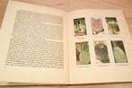 Cactussen — Compleet Verkade Plaatjesalbum [1931], Boeken, Prentenboeken en Plaatjesalbums, Ophalen of Verzenden, Gelezen