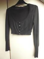 Zwart glanzend vestje maat S/36, Kleding | Dames, Truien en Vesten, Zwart, Ophalen of Verzenden, Zo goed als nieuw, Maat 36 (S)