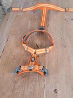 Dog copenhagen L, Dieren en Toebehoren, Ophalen, Zo goed als nieuw