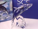 Swarovski Walvis Paikea incl, doos & certificaat & plaquette, Verzamelen, Swarovski, Ophalen of Verzenden, Nieuw