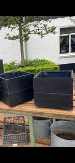 Bloembak Plantenbak, Tuin en Terras, Bloembakken en Plantenbakken, Ophalen, Tuin, Minder dan 60 cm, Vierkant