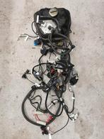 Kabelboom COMPLEET voor gy6 injectie euro5 motorblok scooter, Ophalen of Verzenden, Overige typen