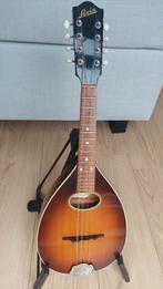 Vintage Levin Model 46 (1951), Muziek en Instrumenten, Ophalen of Verzenden, Gebruikt