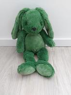 Knuffel Kruidvat Evora konijn groen donkergroen L45, Ophalen of Verzenden, Zo goed als nieuw, Konijn