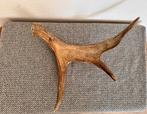 Afwerpstang/gewei eland, Ophalen of Verzenden, Zo goed als nieuw, Beeldje of Figuurtje