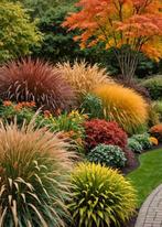 **Zoekt u hulp in uw tuin? Ik sta tot uw beschikking!**, Diensten en Vakmensen, Tuinmannen en Stratenmakers