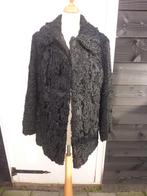 CARNAVAL, bontjas, bont, zwart, boerenbruiloft, jas, Maat 38/40 (M), Carnaval, Ophalen of Verzenden, Kleding