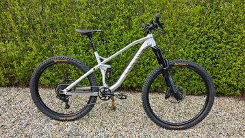 Canyon Spectral AL 9 Mullet! Medium frame