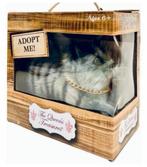 3X The Queen's Treasures Adopt Me hond kat poppen - Queens, Overige typen, Nieuw, Ophalen of Verzenden, H