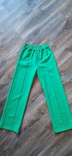 Nieuw groene broek van anna blue maat S, Kleding | Dames, Broeken en Pantalons, Nieuw, Ophalen of Verzenden, Maat 36 (S), Lang