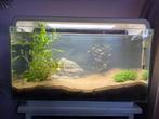 Superfish home 25, Dieren en Toebehoren, Vissen | Aquaria en Toebehoren, Ophalen, Gebruikt, Leeg aquarium