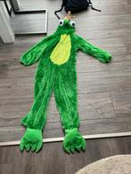 Verkleden: kikkerkoning mt 140-152, Ophalen of Verzenden, Zo goed als nieuw, 146 t/m 152, Jongen of Meisje