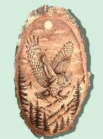 Pyrografie Houten Schijf met Uil, Ophalen of Verzenden, Nieuw