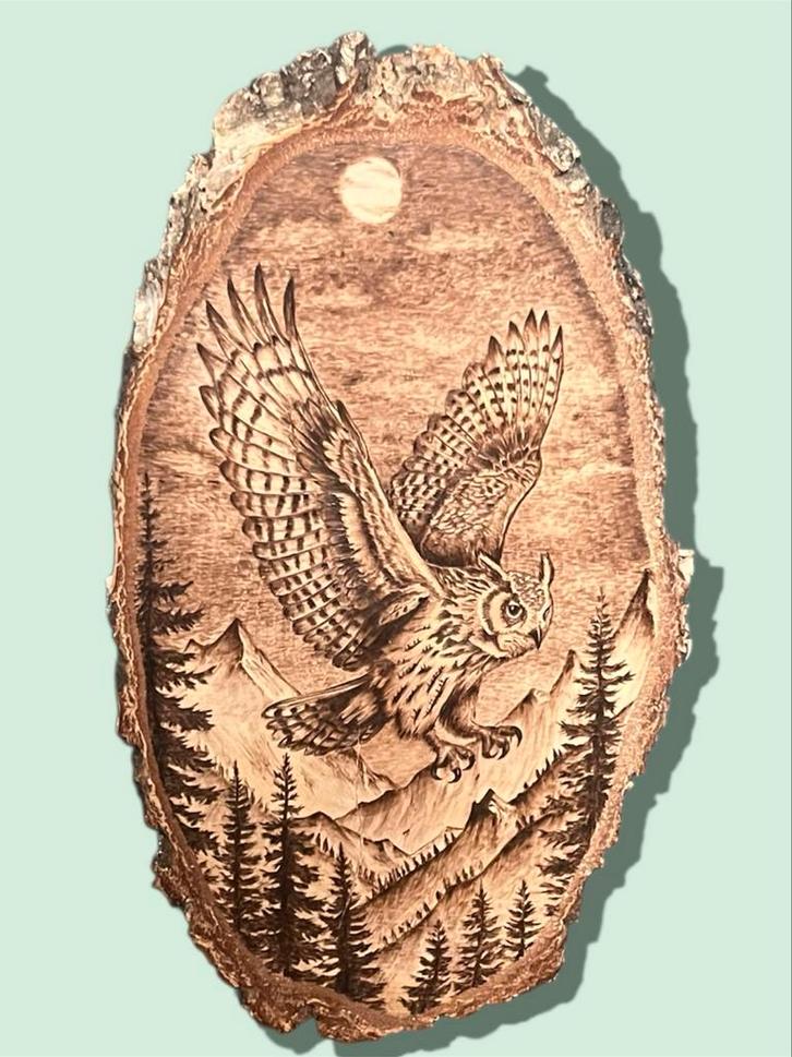 Pyrografie Houten Schijf met Uil, Huis en Inrichting, Woonaccessoires | Wanddecoraties, Nieuw, Ophalen of Verzenden