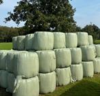 Barenburg Haymaster! midibalen voordroog / kuil, Dieren en Toebehoren, Dierenvoeding, Ophalen, Vee