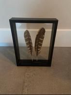 Schilderij met veren, Ophalen of Verzenden, Zo goed als nieuw, Hout