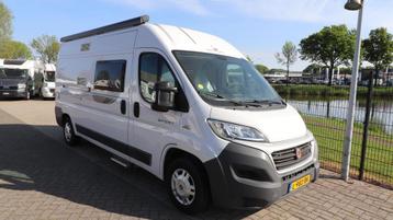 Roller Team Livingstone 2 Sport - 600 beschikbaar voor biedingen